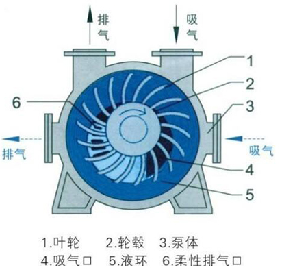 水環式真空泵工作原理圖